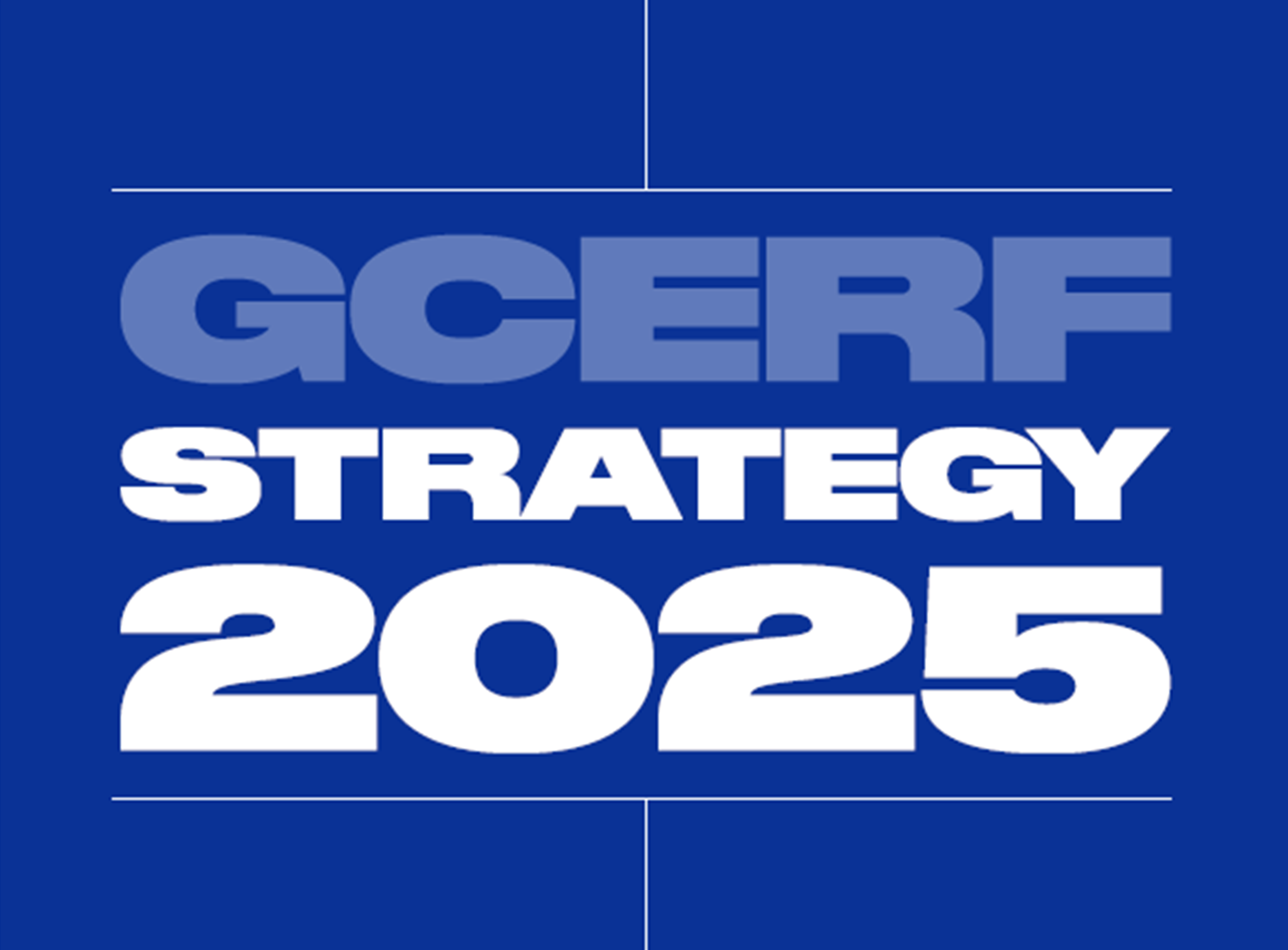 Strategy 2025