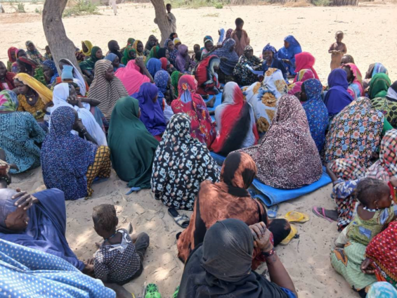 Women Advancing Peaceful Change in Lake Chad Region